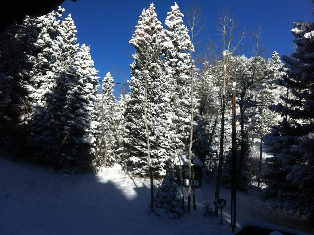 إيفيرغرين Elk Run Bed And Breakfast المظهر الخارجي الصورة