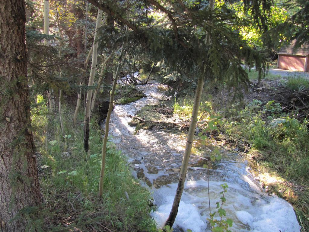 إيفيرغرين Elk Run Bed And Breakfast المظهر الخارجي الصورة